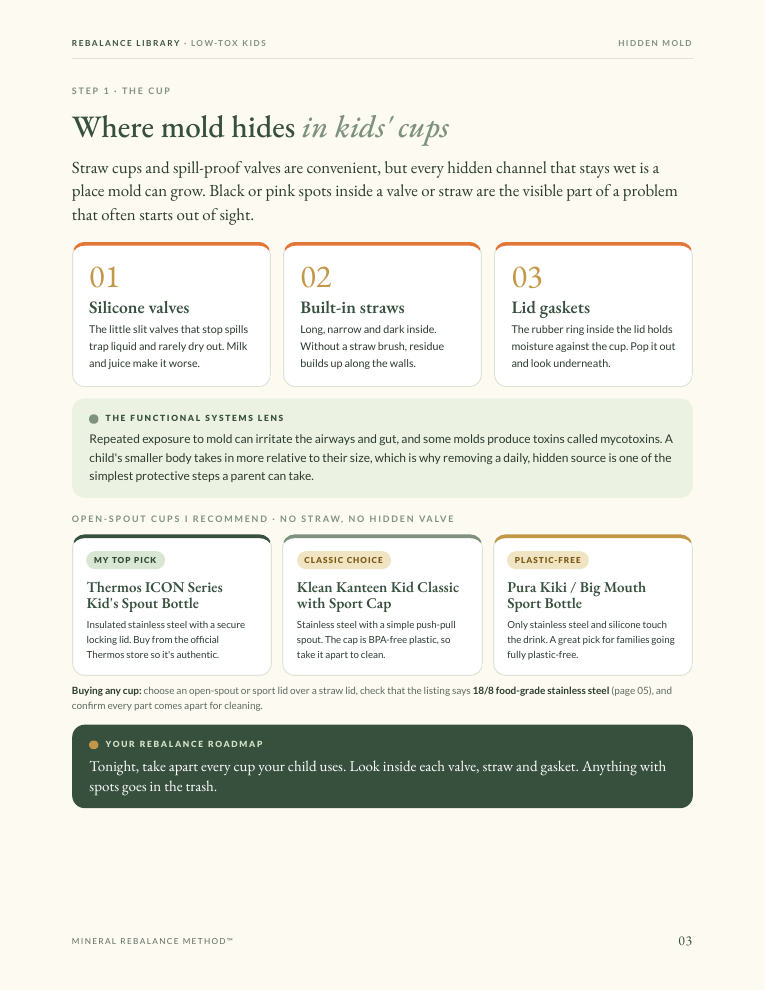 Sample page from The Low-Tox Kids' Cup & Utensil Guide